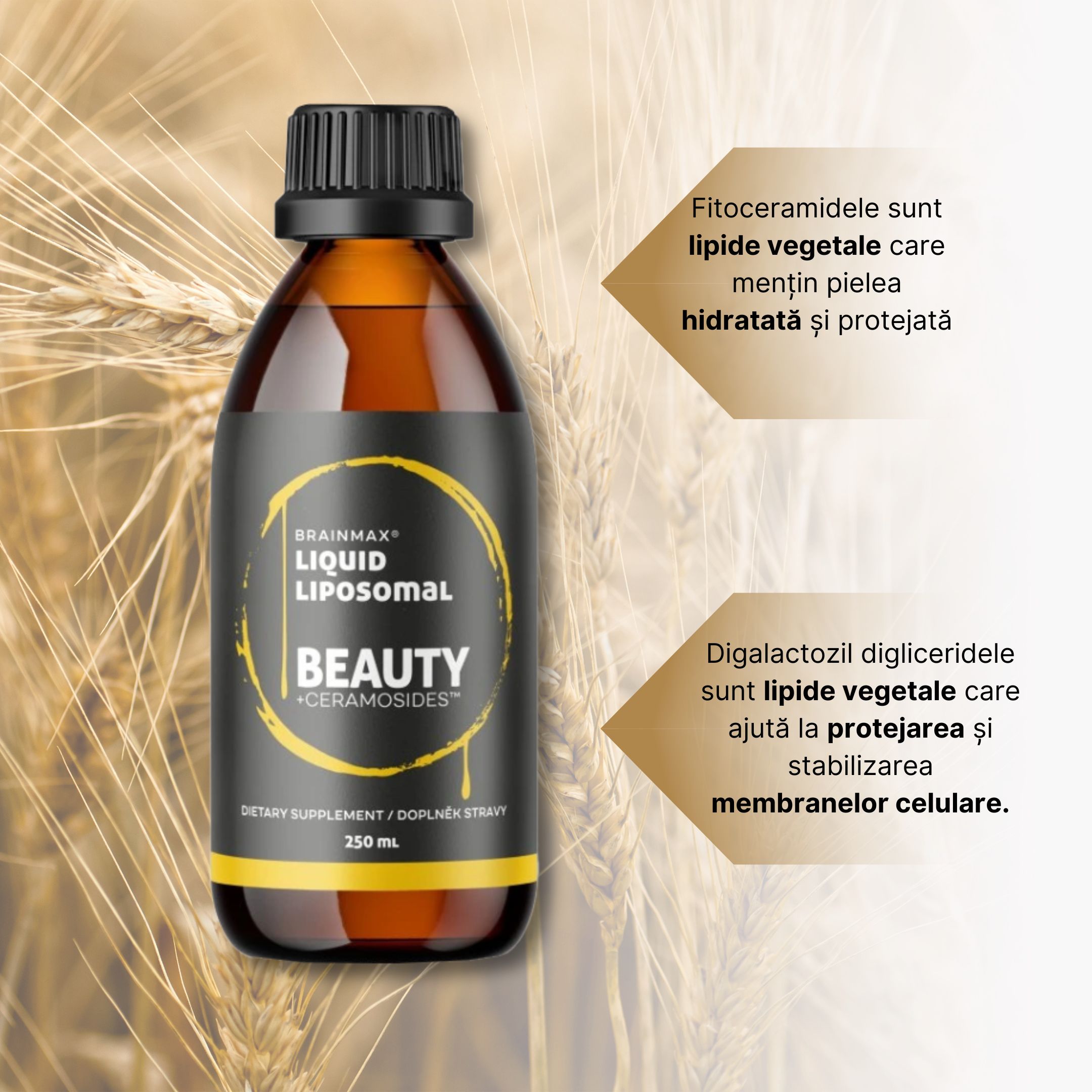 (Rumunština) BrainMax Grass-Fed Beef liver, 240 caps - 8595726807795 - Vitamín B12 (kopie)